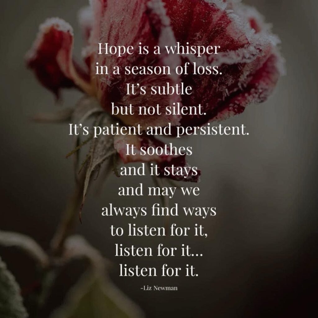 The One Moment Finding Hope The One Moment Finding Hope